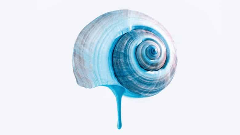 Błękitny szlak Cały Film (2025) - Vider • Filmy-Vider.pl