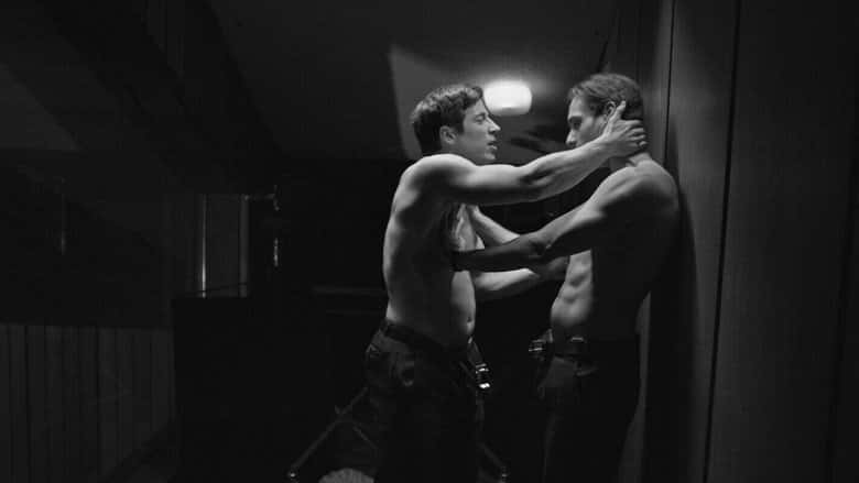 Dobry wieczór, dobry dzień