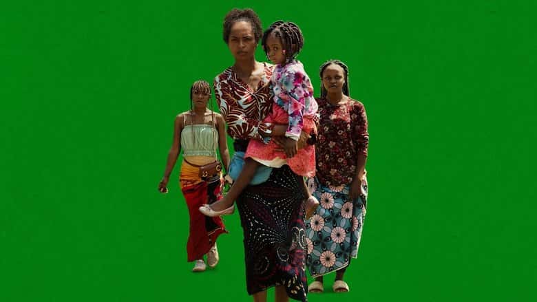 Jak zostałam perliczką