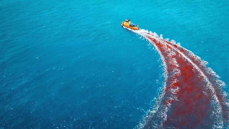 Niebezpieczne zwierzęta