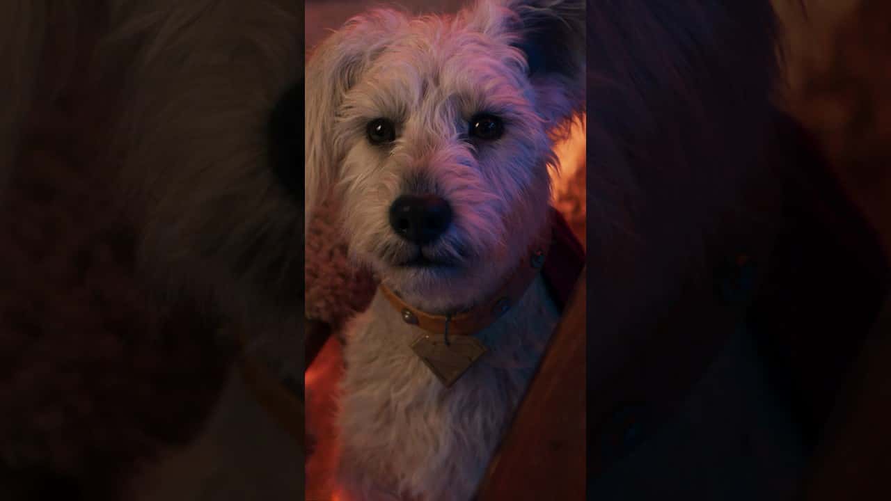 Supergirl Cały Film (2026) - Vider • Filmy-Vider.pl