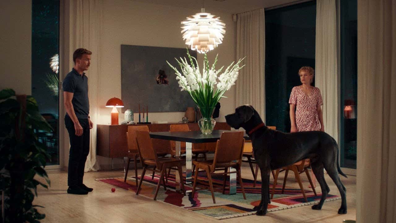 Paw zwyczajny Cały Film (2025) - Vider • Filmy-Vider.pl