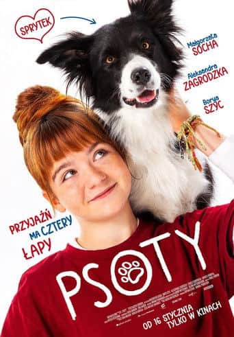 Psoty Cały Film (2026) - Vider • Filmy-Vider.pl