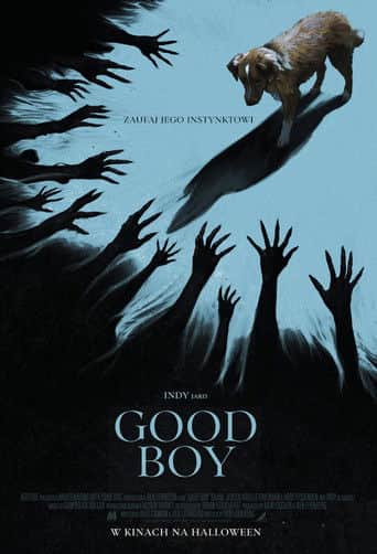 Good boy Cały Film (2025) - Vider • Filmy-Vider.pl
