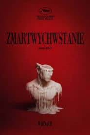 Zmartwychwstanie Cały Film (2025) - Vider • Filmy-Vider.pl