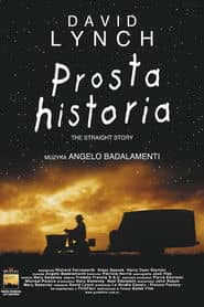 Prosta historia Cały Film (1999) - Vider • Filmy-Vider.pl