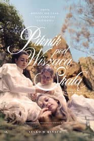 Piknik pod Wiszącą Skałą Cały Film (1975) - Vider • Filmy-Vider.pl