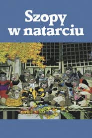 Szopy w natarciu Cały Film (1994) - Vider • Filmy-Vider.pl