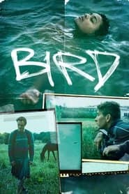 Bird Cały Film (2024) - Vider • Filmy-Vider.pl