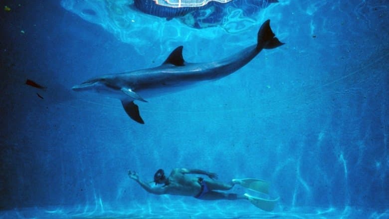 Wielki błękit Cały Film (1988) - Vider • Filmy-Vider.pl