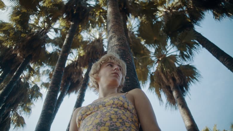 Camper Cały Film (2025) - Vider • Filmy-Vider.pl