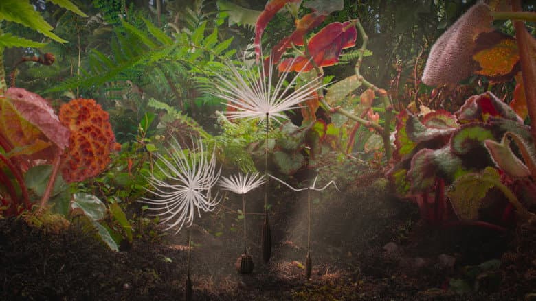 Dmuchawce Cały Film (2026) - Vider • Filmy-Vider.pl