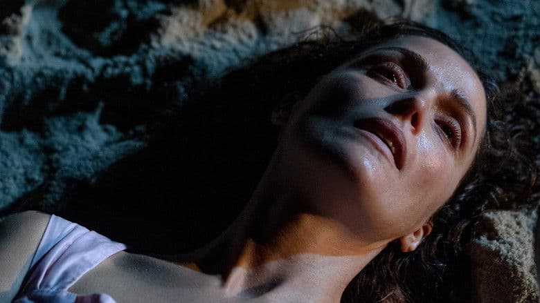 Kopnęłabym cię, gdybym mogła Cały Film (2025) - Vider • Filmy-Vider.pl