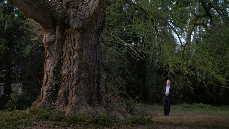 Stille Freundin Cały Film (2026) - Vider • Filmy-Vider.pl