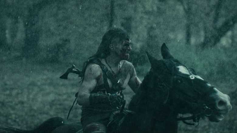 Dziki Cały Film (2026) - Vider • Filmy-Vider.pl