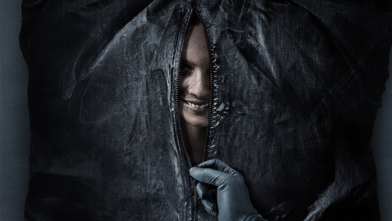 Uśmiechnij się Cały Film (2022) - Vider • Filmy-Vider.pl