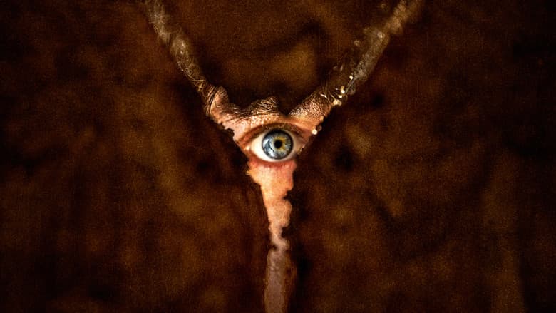 Powrót do Silent Hill Cały Film (2026) - Vider • Filmy-Vider.pl