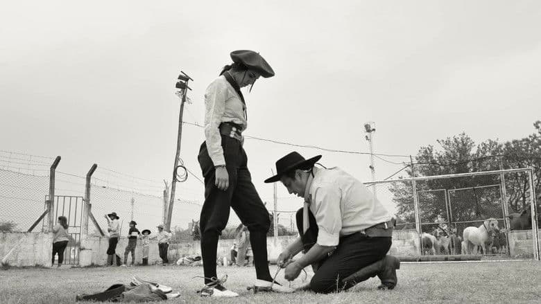 Gaucho Gaucho Cały Film (2024) - Vider • Filmy-Vider.pl