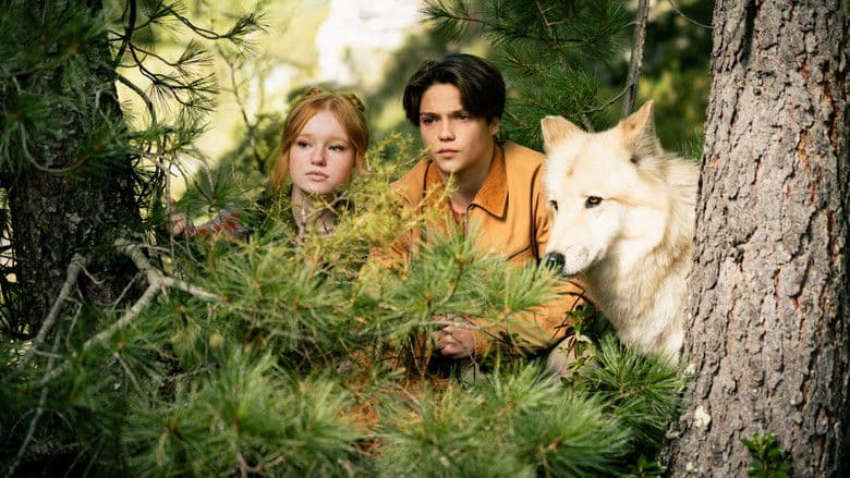 Zmiennokształtni 2 Cały Film (2026) - Vider • Filmy-Vider.pl