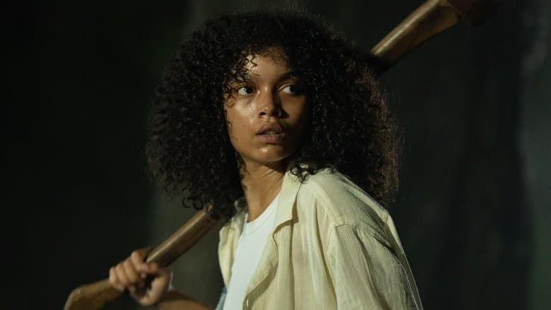 Oko za oko Cały Film (2025) - Vider • Filmy-Vider.pl