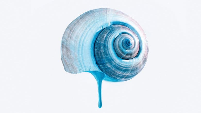 Błękitny szlak Cały Film (2025) - Vider • Filmy-Vider.pl