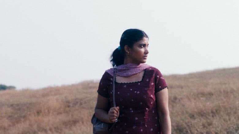 Wszystkie odcienie światła Cały Film (2024) - Vider • Filmy-Vider.pl