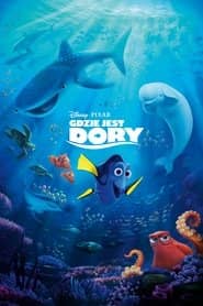Gdzie jest Dory Cały Film (2016) - Vider • Filmy-Vider.pl