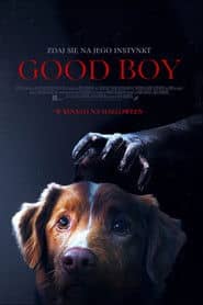 Good boy Cały Film (2025) - Vider • Filmy-Vider.pl
