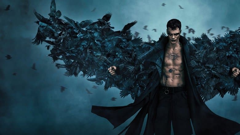 Kruk Cały Film (2024) - Vider • Filmy-Vider.pl