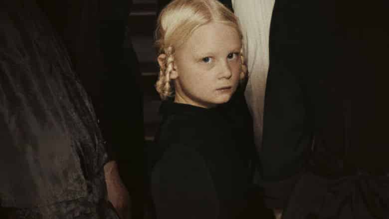 Wpatrując się w słońce Cały Film (2025) - Vider • Filmy-Vider.pl