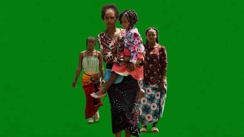 Jak zostałam perliczką Cały Film (2024) - Vider • Filmy-Vider.pl