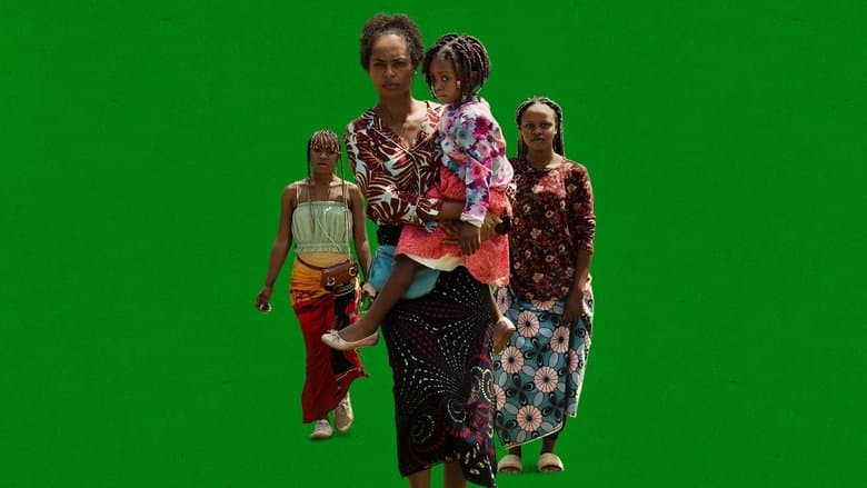 Jak zostałam perliczką Cały Film (2024) - Vider • Filmy-Vider.pl