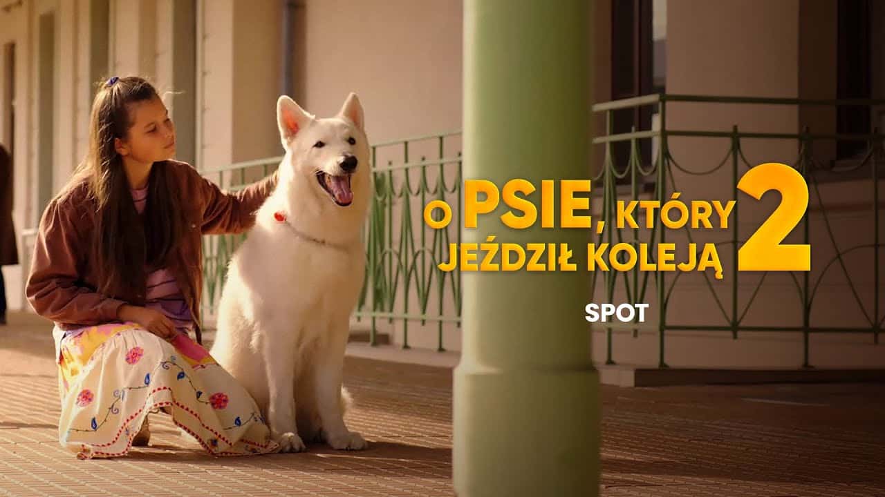 O psie, który jeździł koleją 2 Cały Film (2025) - Vider • Filmy-Vider.pl