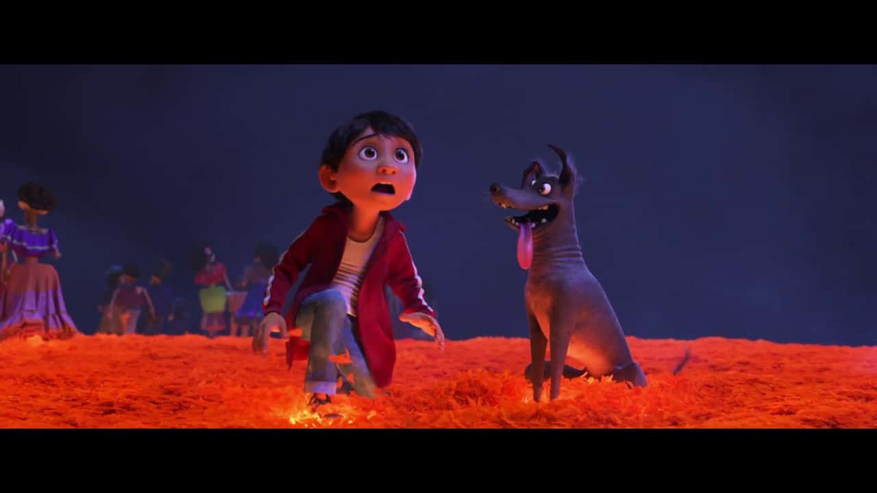 Coco Cały Film (2017) - Vider • Filmy-Vider.pl